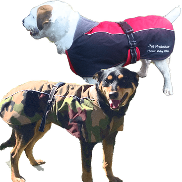 Waterproof Winter Dog Coat